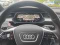 Audi e-tron 55 q. S-Line Sport, Navi Touch, Panorama, White - thumbnail 14