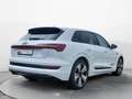 Audi e-tron 55 q. S-Line Sport, Navi Touch, Panorama, White - thumbnail 6