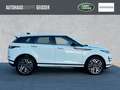Land Rover Range Rover Evoque RR Evoque D200 R-DYNAMIC SE AWD Automatik ACC Blanc - thumbnail 6