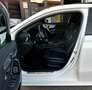 Mercedes-Benz A 200 Limousine Aut. *AMG-Line*Ö-1.Besitz*Voll* Weiß - thumbnail 17