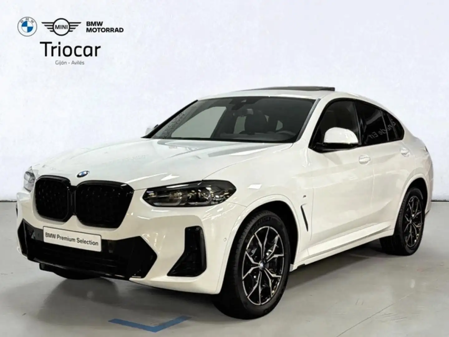 BMW X4 xDrive 20dA xLine Blanco - 1