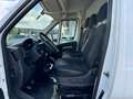 Peugeot Boxer L4H3 35+ 140 TÜV/Service/Reifen NEU *AKTION* Weiß - thumbnail 13