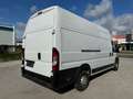 Peugeot Boxer L4H3 35+ 140 TÜV/Service/Reifen NEU *AKTION* Weiß - thumbnail 6