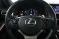 Lexus IS F 300h SPORT Grau - thumbnail 20