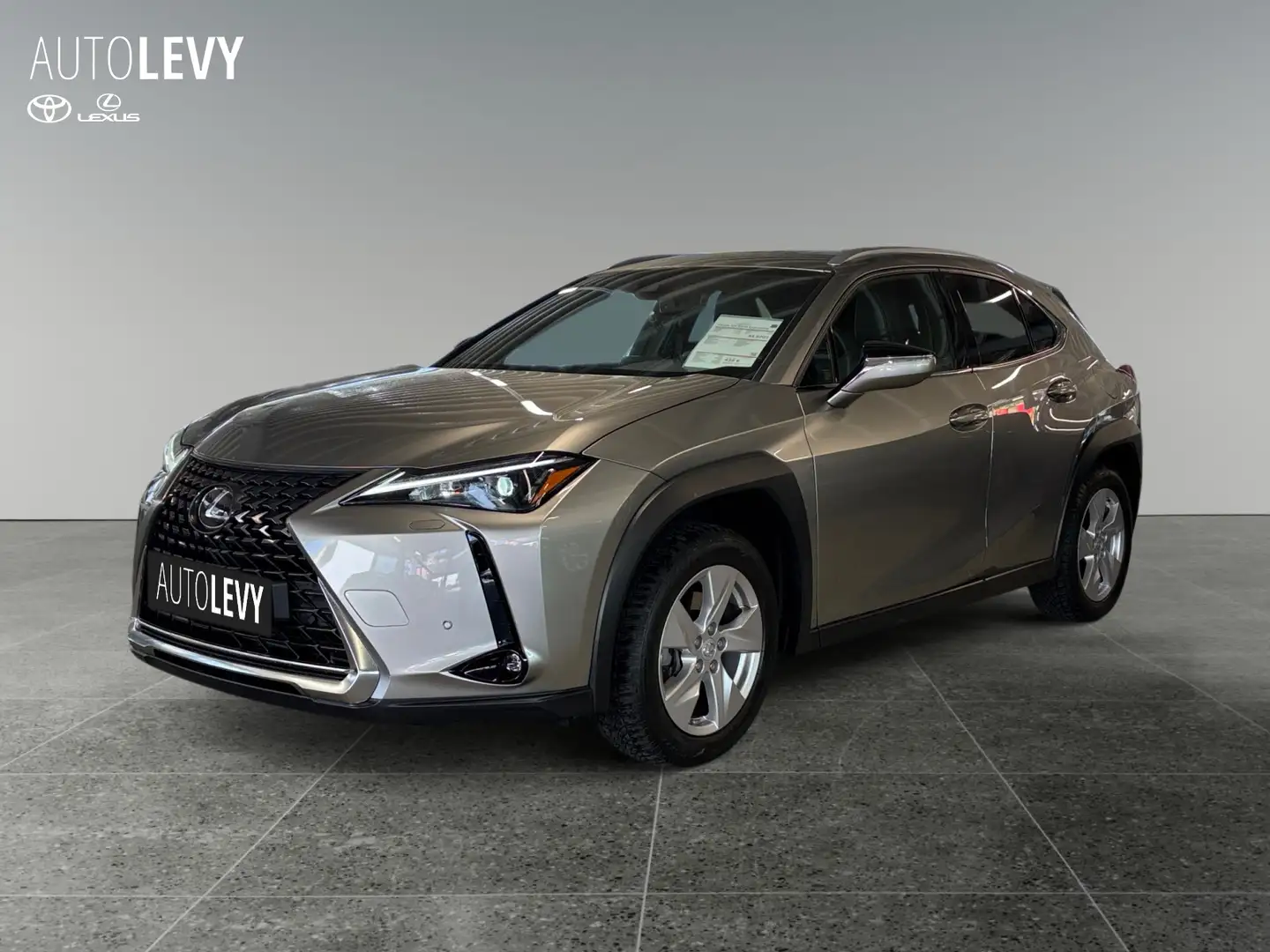 Lexus UX 250h Executive Line +CarPlay+Kamera+Navi+AHK+ Srebrny - 2