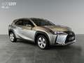 Lexus UX 250h Executive Line +CarPlay+Kamera+Navi+AHK+ Silber - thumbnail 7