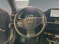 Lexus UX 250h Executive Line +CarPlay+Kamera+Navi+AHK+ Silber - thumbnail 12