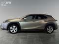 Lexus UX 250h Executive Line +CarPlay+Kamera+Navi+AHK+ Silber - thumbnail 3