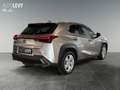 Lexus UX 250h Executive Line +CarPlay+Kamera+Navi+AHK+ Silber - thumbnail 5