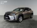 Lexus UX 250h Executive Line +CarPlay+Kamera+Navi+AHK+ Silber - thumbnail 2