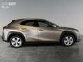 Lexus UX 250h Executive Line +CarPlay+Kamera+Navi+AHK+ Silber - thumbnail 6