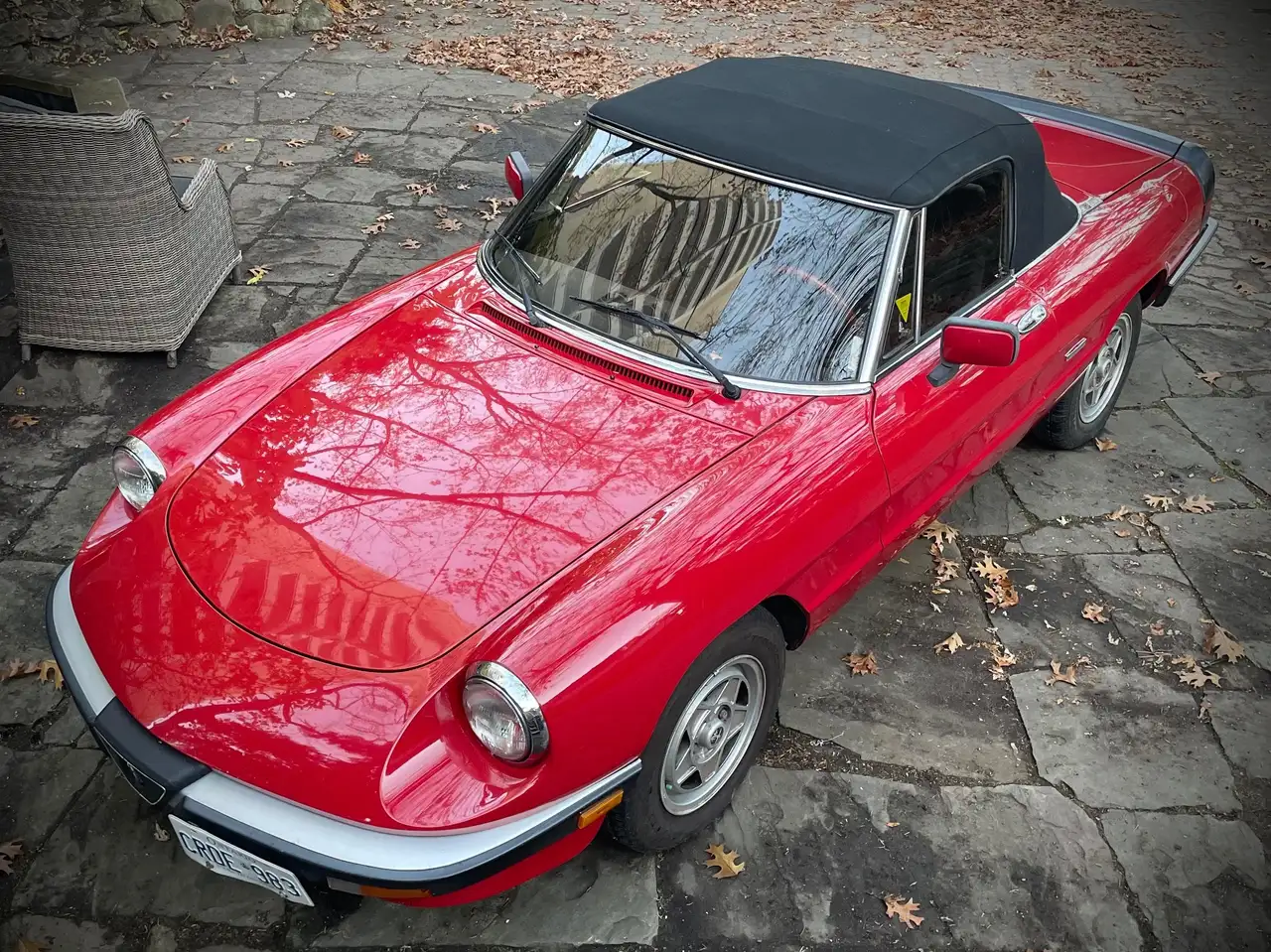 1988 Alfa Romeo Spider