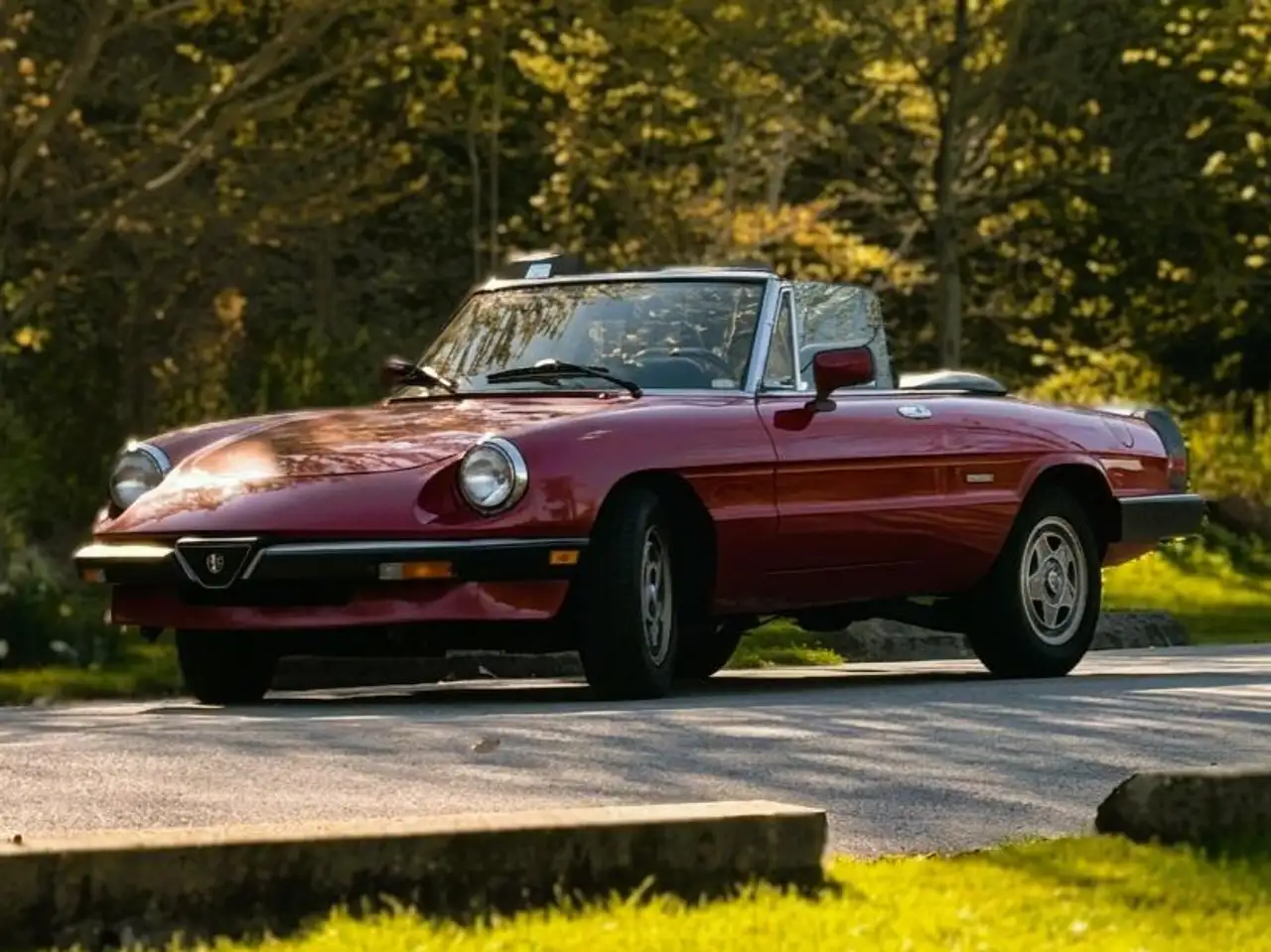 1988 Alfa Romeo Spider
