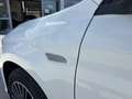 Fiat Tipo Hatchback My23 1.5 Hybrid130cv Dct Hb Tipo Blanco - thumbnail 12