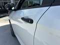 Fiat Tipo Hatchback My23 1.5 Hybrid130cv Dct Hb Tipo Blanco - thumbnail 11