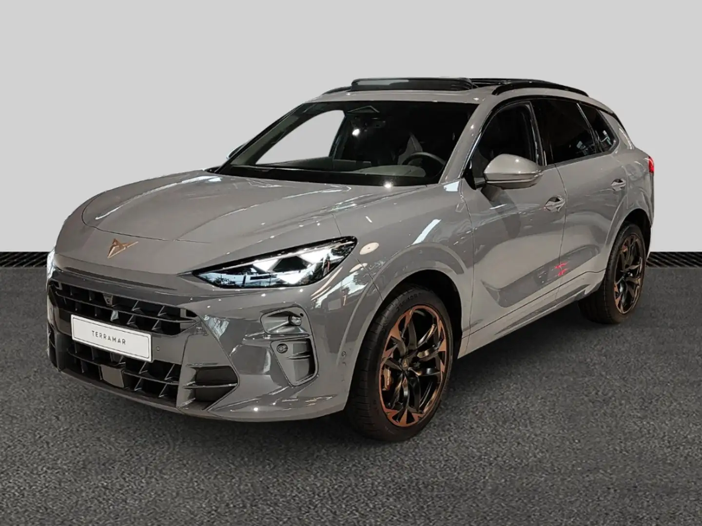 CUPRA Terramar 195 kW 4Drive VZ 2.0 TSI DSG SOFORT VERFÜGBAR Grau - 2