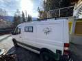 Mercedes-Benz Sprinter 316 CDI 3,5 t  - AUSTAUSCHMOTOR erst 95.000km gelaufen Weiß - thumbnail 5