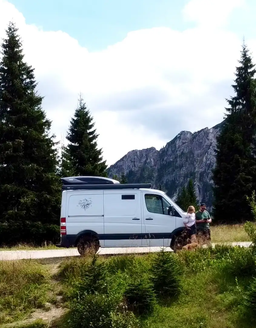 Mercedes-Benz Sprinter 316 CDI 3,5 t  - AUSTAUSCHMOTOR erst 95.000km gelaufen Weiß - 1