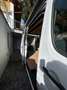 Mercedes-Benz Sprinter 316 CDI 3,5 t  - AUSTAUSCHMOTOR erst 95.000km gelaufen Weiß - thumbnail 13