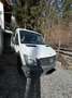 Mercedes-Benz Sprinter 316 CDI 3,5 t  - AUSTAUSCHMOTOR erst 95.000km gelaufen Weiß - thumbnail 4