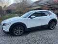 Mazda CX-30 CX-30 X186 AWD GT+ GT+ Weiß - thumbnail 4