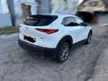 Mazda CX-30 CX-30 X186 AWD GT+ GT+ Weiß - thumbnail 3