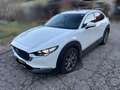 Mazda CX-30 CX-30 X186 AWD GT+ GT+ Weiß - thumbnail 1