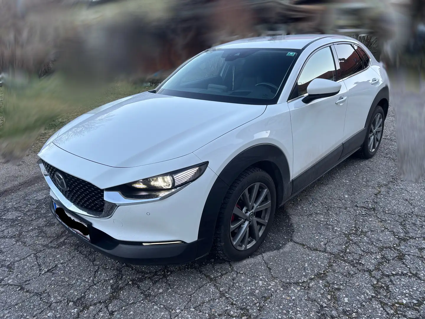 Mazda CX-30 CX-30 X186 AWD GT+ GT+ Weiß - 1