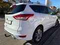 Ford Kuga Individual*Bi-Xenon*Standheizung Blanco - thumbnail 7