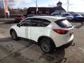 Mazda CX-5 CD150 Attraction + Anhängerkupplung Weiß - thumbnail 7