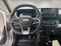 Dacia Spring Extreme Electric 65 Allwetter*Klima*Kamera*V2L-Ada Silber - thumbnail 11