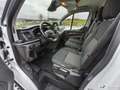 Ford Transit Custom Vu FOURGON 280 2.0 ECOBLUE 105 L1H1 COURT PC-TN TREND BUSINESS Weiß - thumbnail 9