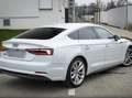 Audi A5 A5 Sportback 3.0 TDI S tronic quattro Weiß - thumbnail 7