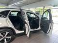 Mercedes-Benz GLC 220 d 4M Night AMG Line+AMB+AHK+Pano+ParkKAM Bianco - thumbnail 9