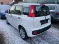 Fiat Panda Panda 1.0i Hybrid GSE Pop Weiß - thumbnail 3