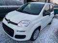 Fiat Panda Panda 1.0i Hybrid GSE Pop Weiß - thumbnail 2