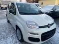 Fiat Panda Panda 1.0i Hybrid GSE Pop Weiß - thumbnail 1