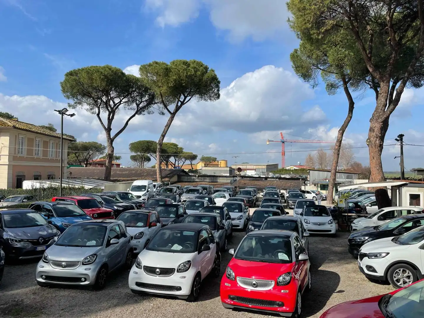 smart forTwo 1.0cc 71cv A PARTIRE DA 12350 Nero - 1