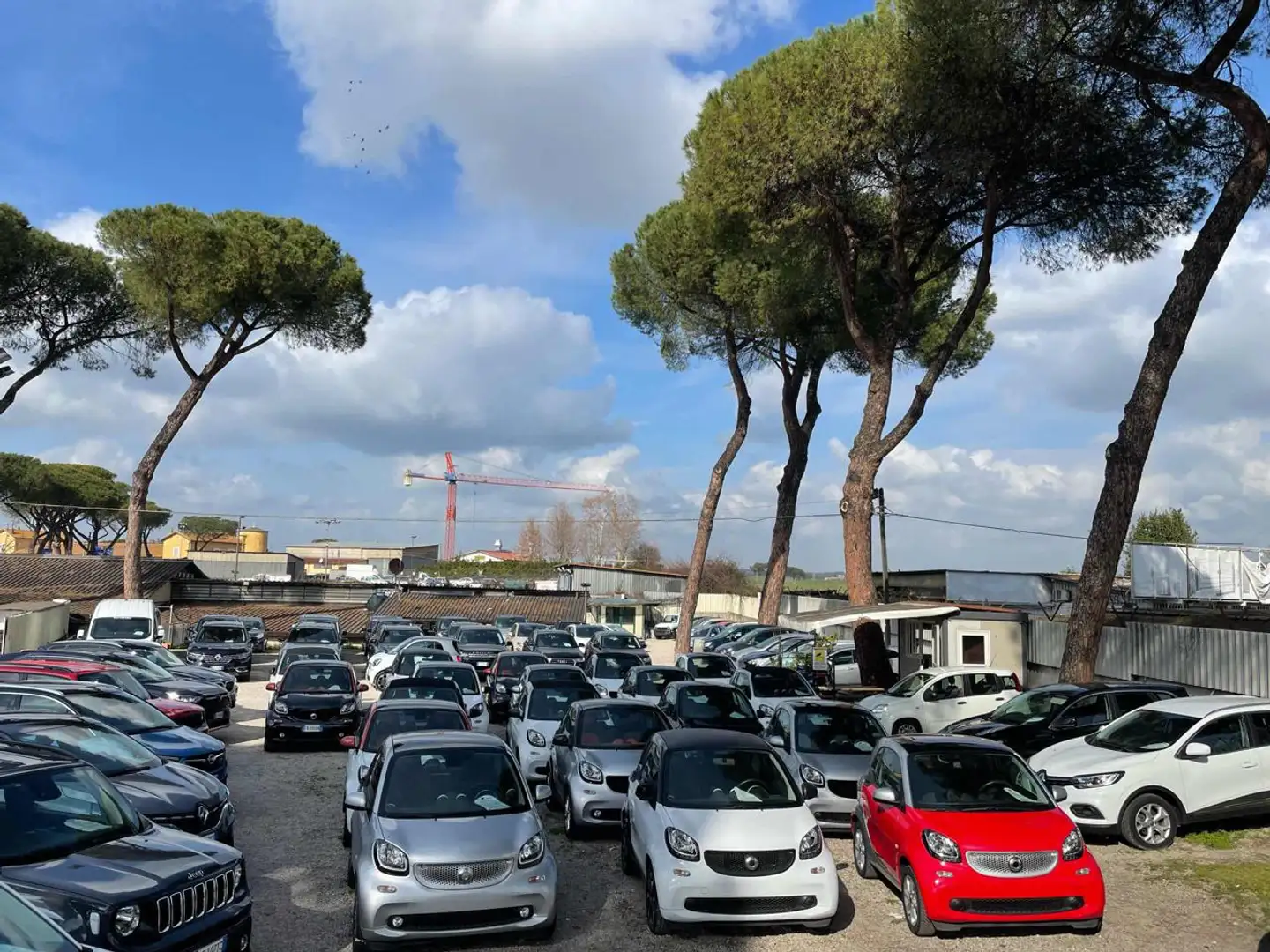 smart forTwo 1.0cc 71cv A PARTIRE DA 12350 Nero - 2