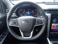 JAC Sonstige 2.4 4x4 3T Anhängelast Carplay/AndroidAuto Grau - thumbnail 12