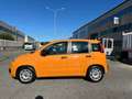 Fiat Panda 1.0 FireFly S&S Hybrid Arancione - thumbnail 3