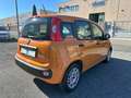 Fiat Panda 1.0 FireFly S&S Hybrid Arancione - thumbnail 6