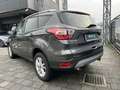 Ford Kuga 2ª serie 1.5 EcoBoost 120 CV S&S 2WD Titanium Gris - thumbnail 12