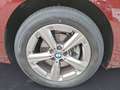 BMW 216 Steptronic DCT Komfortzugang Rot - thumbnail 12