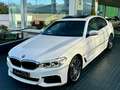 BMW 520 Berlina Automático de 4 Puertas Wit - thumbnail 9