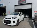 Kia Picanto Très jolie❗️AIRCO❗️neuf✅ Blanc - thumbnail 1