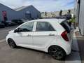 Kia Picanto Très jolie❗️AIRCO❗️neuf✅ Blanc - thumbnail 5