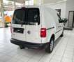 Volkswagen Caddy 2.0 TDI 4Motion 4x4 NFZ Kasten HU neu Blanc - thumbnail 6