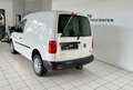 Volkswagen Caddy 2.0 TDI 4Motion 4x4 NFZ Kasten HU neu Blanc - thumbnail 5