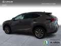 Lexus NX 200t F-SPORT 4WD Grau - thumbnail 3